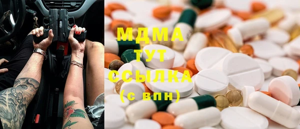 крисы Кулебаки