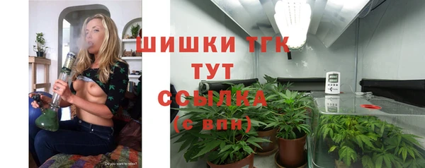 крисы Кулебаки