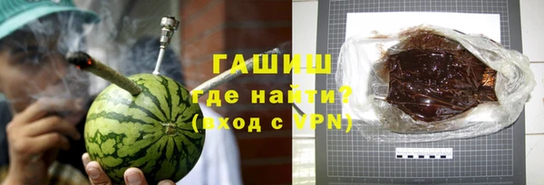 крисы Кулебаки