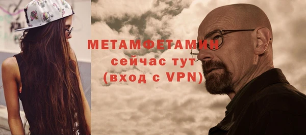 крисы Кулебаки