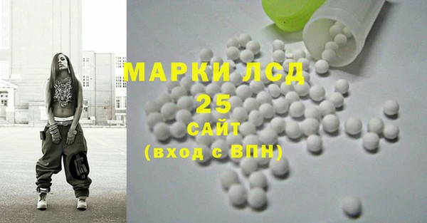 крисы Кулебаки