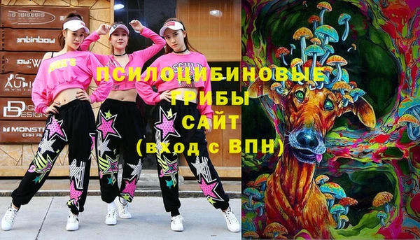 МДПВ Куйбышев