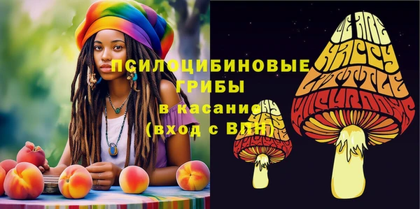 МДПВ Куйбышев