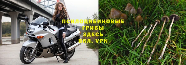 крисы Кулебаки