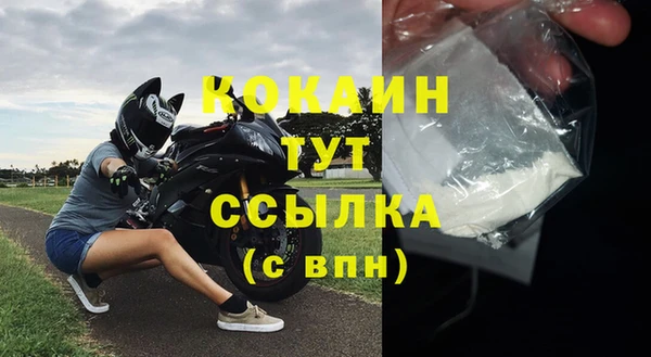 крисы Кулебаки