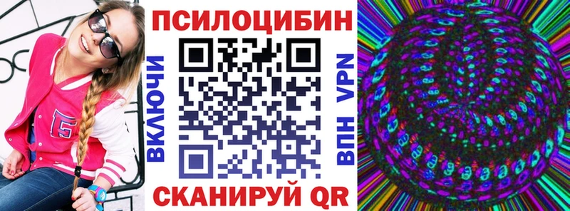 Купить  Каргат  Псилоцибиновые грибы Psilocybe 